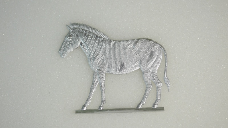 Zebra, GH= 58mm